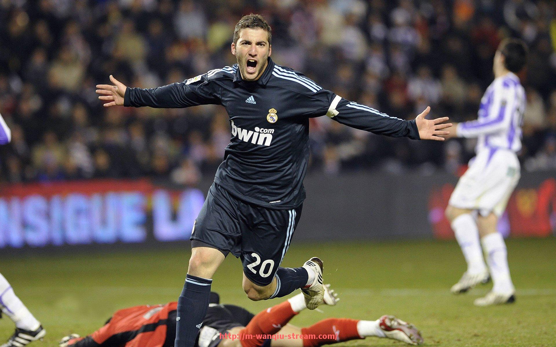 玩球直播-国内哪家健身器材更专业？体育品牌对比分析